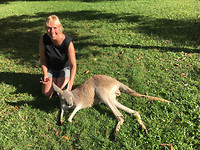 Zoo_Roo