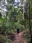 MossmanGorge1