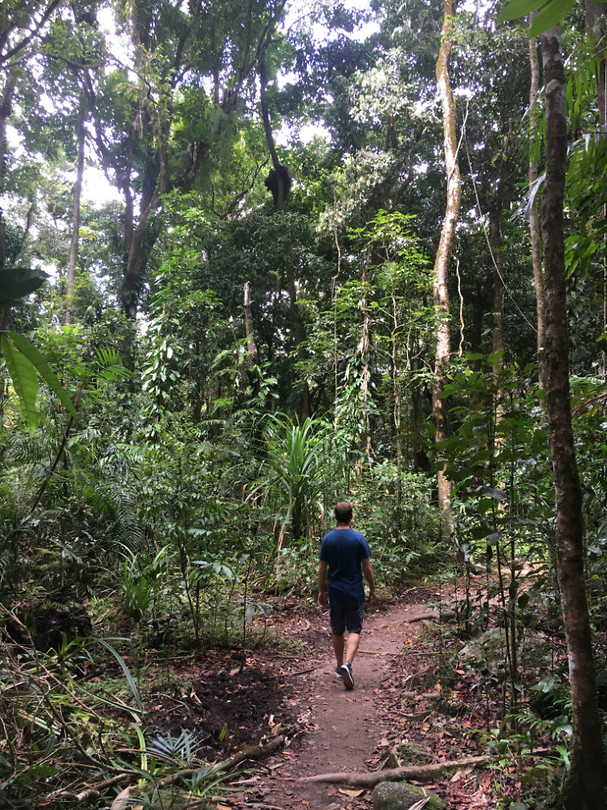 MossmanGorge1