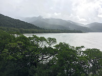 CapeTribulation3