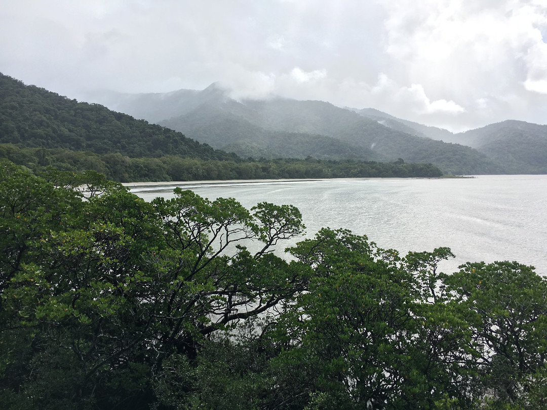 CapeTribulation3