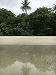 CapeTribulation2
