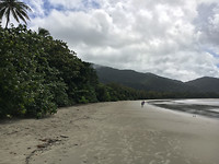 CapeTribulation1
