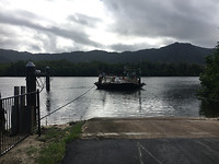 Daintree_Ferry