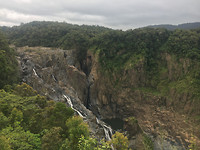 KurandaTrain_view