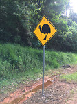Sign_Cassowarry