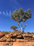 KingsCanyon3
