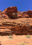 KingsCanyon2