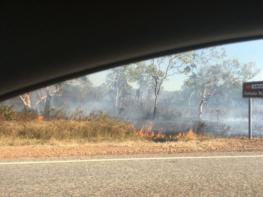 Bushfire