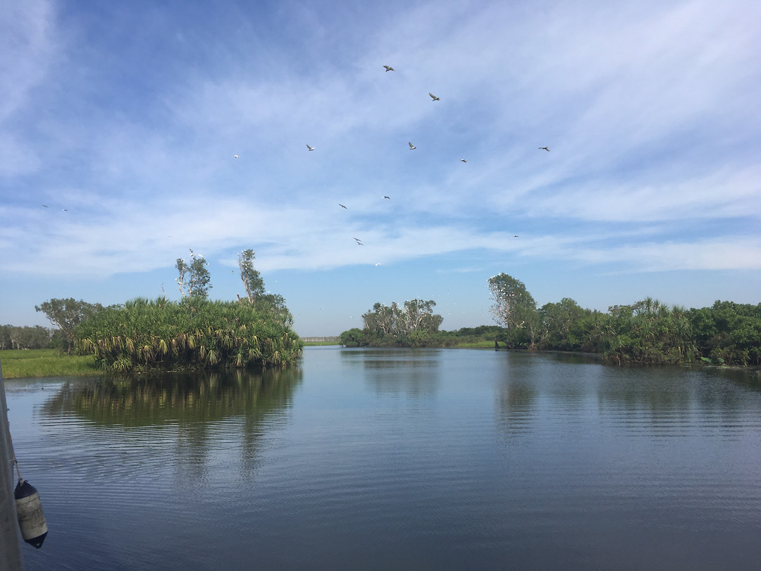 Wetlands_YellowWater2