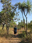 Kakadu