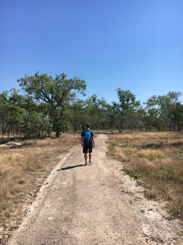 Kakadu_Billabong