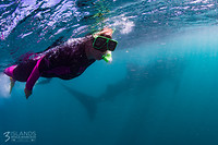 Anna_Whaleshark