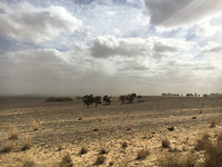 WildWest