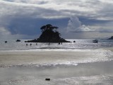 Abel Tasmanpark