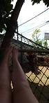 IMG-20200125-WA0002