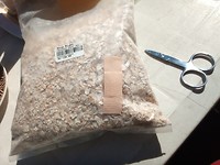 IMG-20191127-WA0019