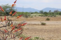 IMG_3946