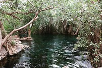 IMG_3949