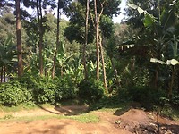 IMG_4507