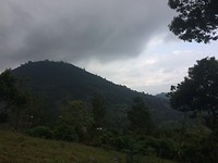 IMG_4526