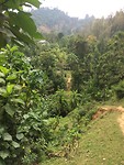 IMG_4579