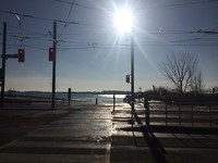 Harbourfront Centre