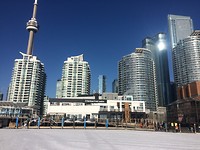 ''Skyline''