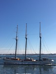 Zeilschip in het bevroren ijs