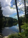 Lynn Canyon
