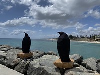 Sculpture by the sea
