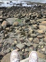 Vancouver cliff walk