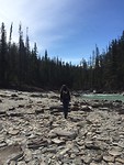 Wapta falls