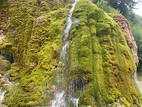 Waterval met mos