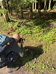 Natuurliefhebber in actie