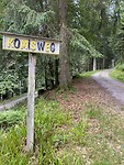 IMG_5439
