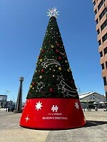 Kerst in Hobart