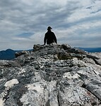 Mount Field