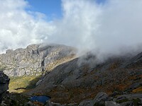 Fagus trees op 1275m hoogte