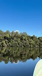 Tarkine wilderniss