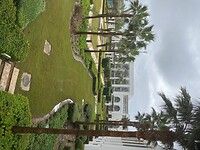 IMG_4558 2