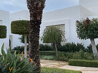IMG_4549 2