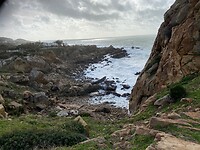IMG_4536