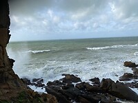 IMG_4537 2