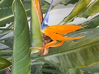IMG_4552