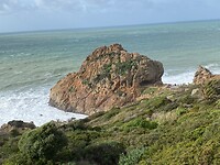 IMG_4529