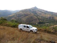 De auto