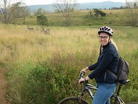 mountainbiken tussen de zebra's