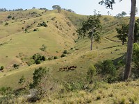 De farm
