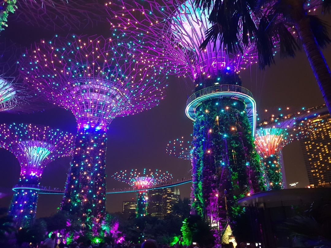 Gardens by the bay lichtshow | Foto | Anne's reisblog